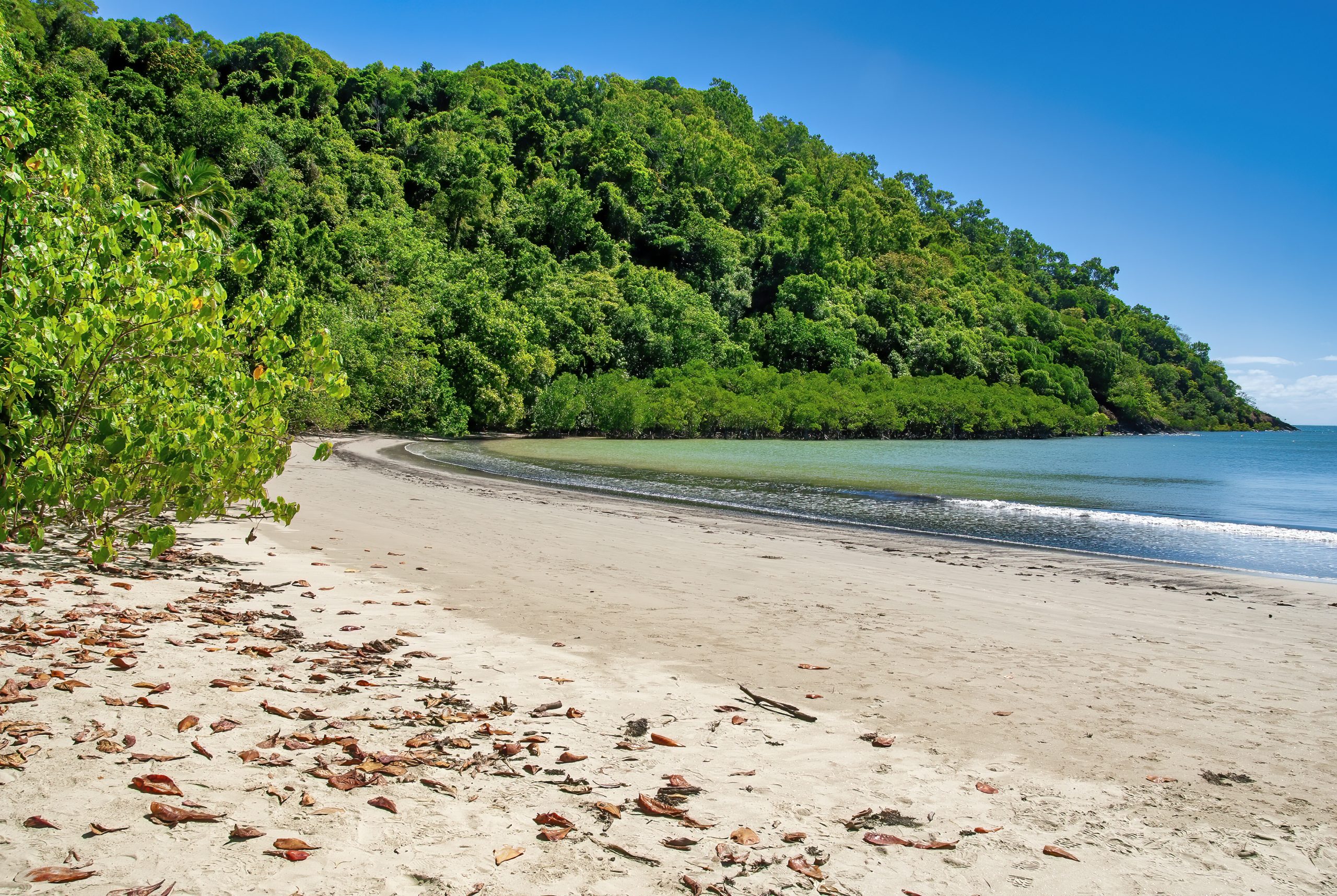 Daintree National Park beach